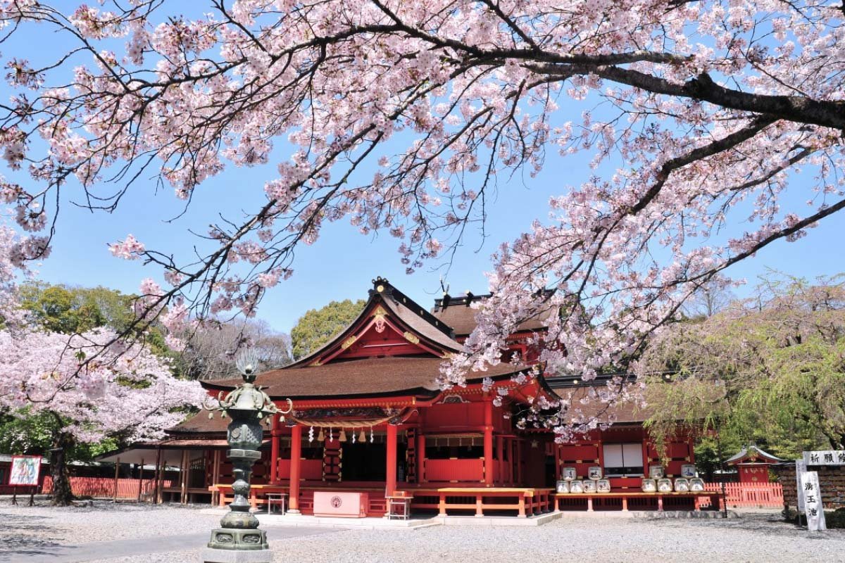 ⛩️ 후지산 혼구 센겐타이샤 이미지 7